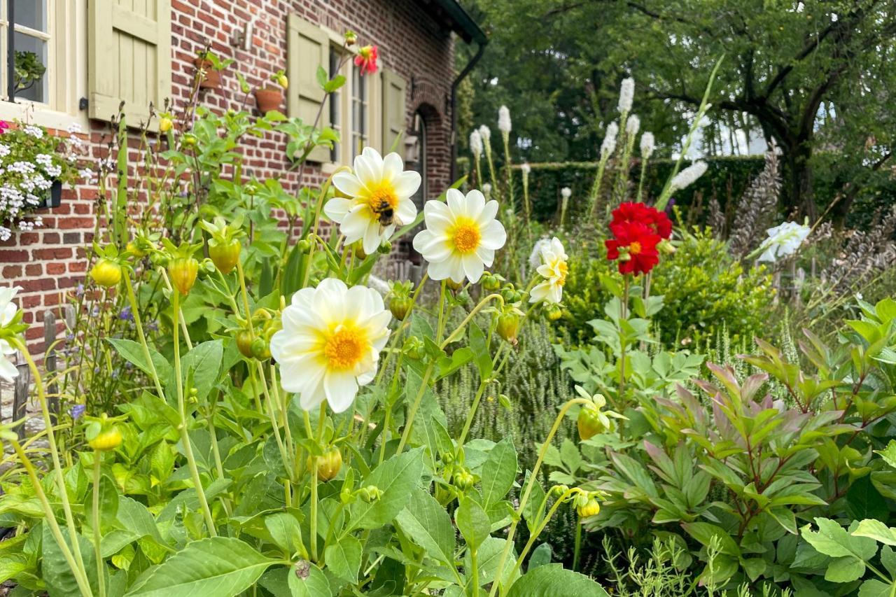 B&B De Paenhoeve Eksel 외부 사진